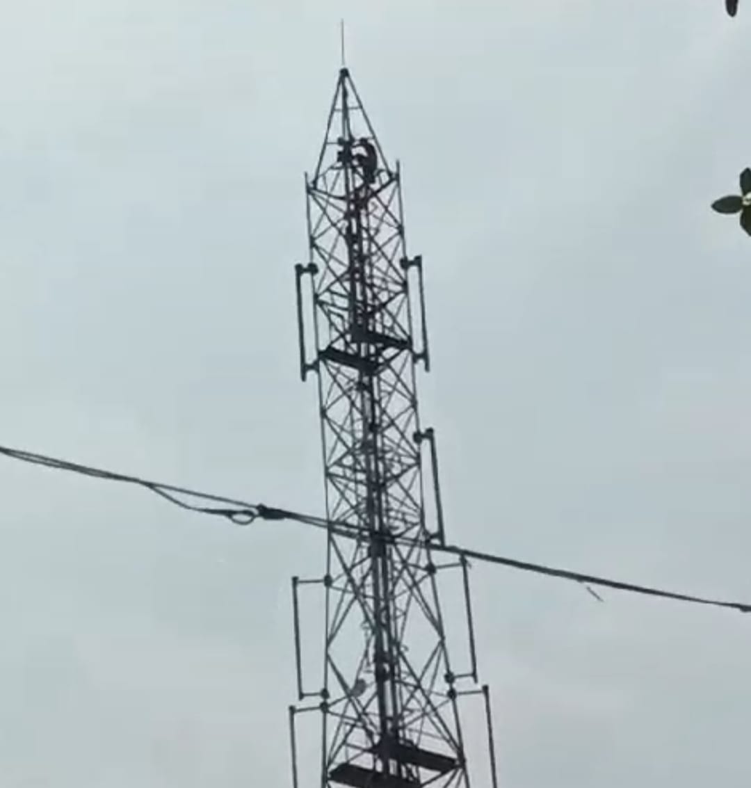 बड़हरा मे पत्नी से नाराज शराबी पति मोबाइल टावर पर चढा़।